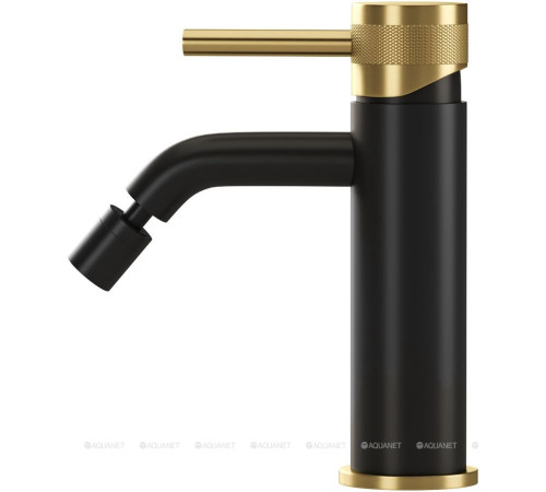 Смеситель для биде Allen Brau Priority 3.0 черный/золото 5.31A04-31GB