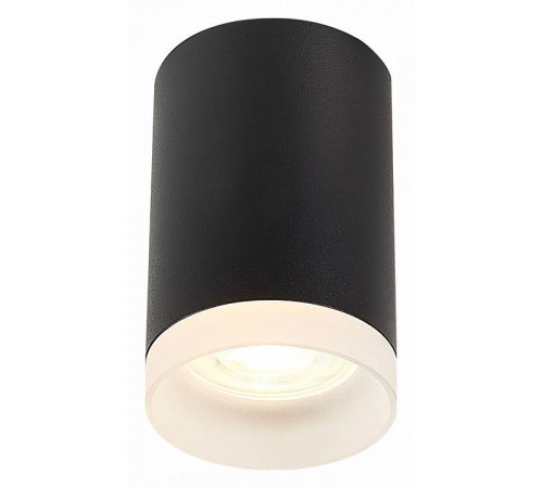 Накладной светильник ST-Luce ST100 ST100.402.01