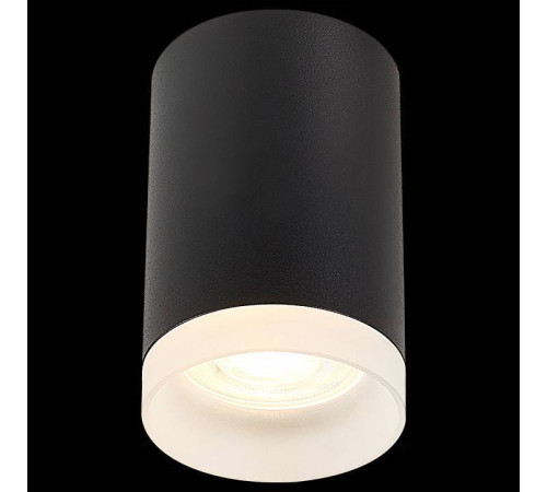 Накладной светильник ST-Luce ST100 ST100.402.01