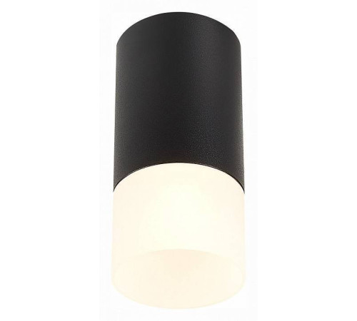 Накладной светильник ST-Luce ST100 ST100.412.01