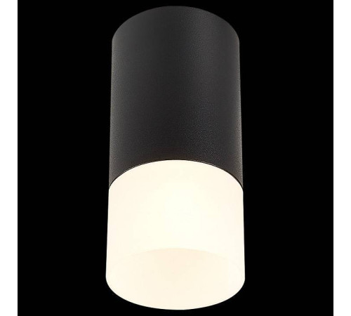 Накладной светильник ST-Luce ST100 ST100.412.01