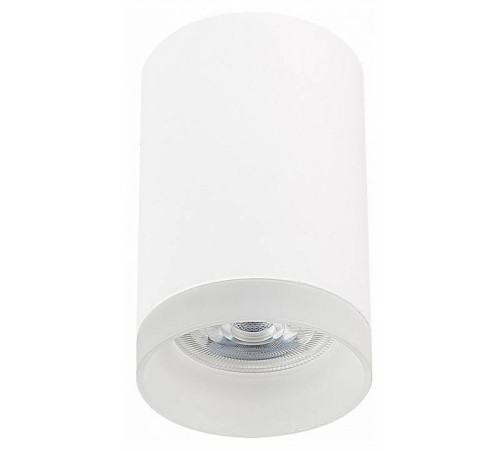 Накладной светильник ST-Luce ST100 ST100.502.01