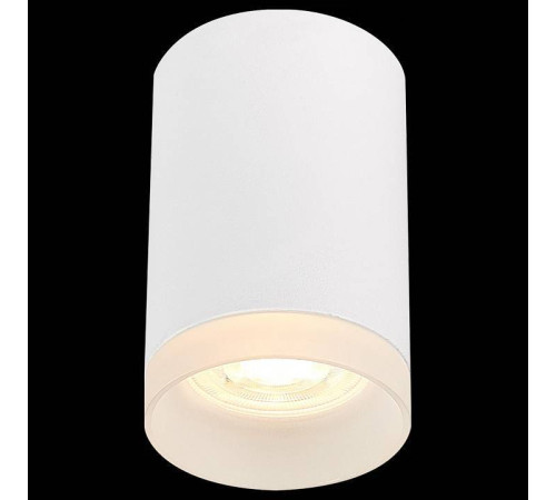 Накладной светильник ST-Luce ST100 ST100.502.01