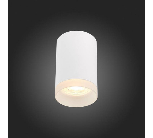 Накладной светильник ST-Luce ST100 ST100.502.01