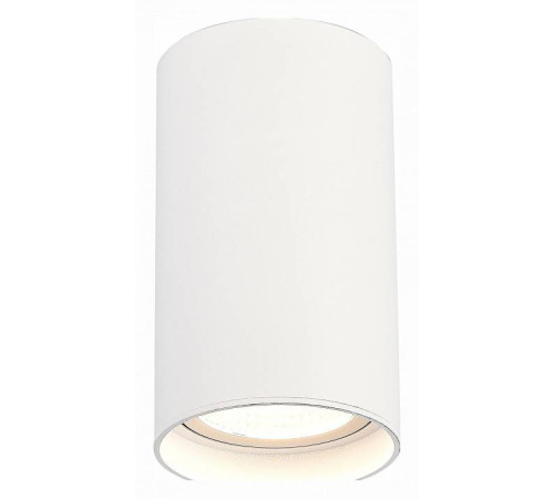 Накладной светильник ST-Luce ST157 ST157.542.20