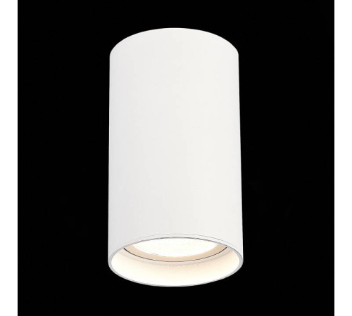 Накладной светильник ST-Luce ST157 ST157.542.20