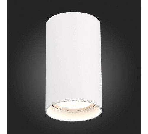 Накладной светильник ST-Luce ST157 ST157.542.20