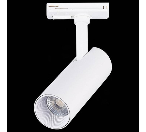 Светильник на штанге ST-Luce Mono ST350.546.10.36