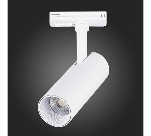 Светильник на штанге ST-Luce Mono ST350.546.10.36