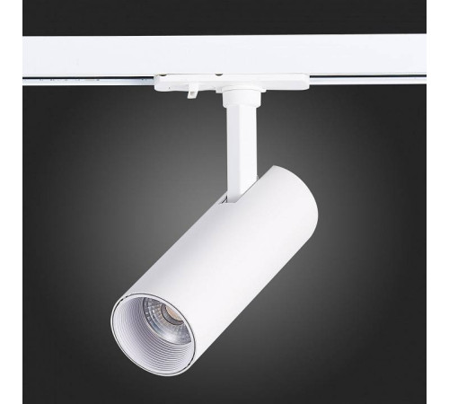 Светильник на штанге ST-Luce Mono ST350.546.10.36