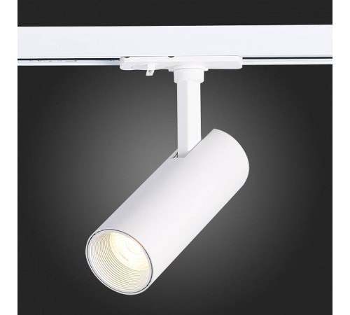 Светильник на штанге ST-Luce Mono ST350.546.10.36