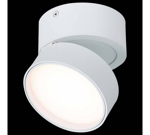 Накладной светильник ST-Luce ST651 ST651.532.14