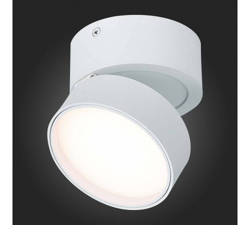 Накладной светильник ST-Luce ST651 ST651.532.14