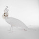 Птица световая Seletti Peacock 14672