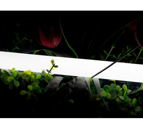 Лента светодиодная SWG PRO 00-00013284