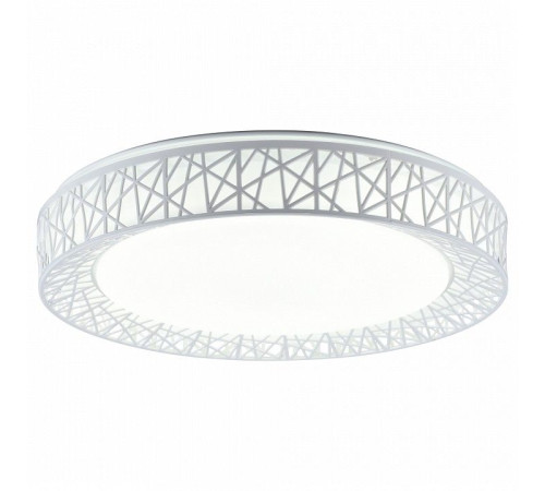 Накладной светильник TopLight Diana TL1204X-72WH
