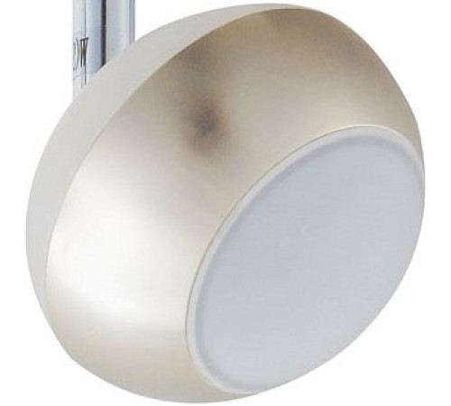 Спот TopLight Doreen TL1241Y-03SN