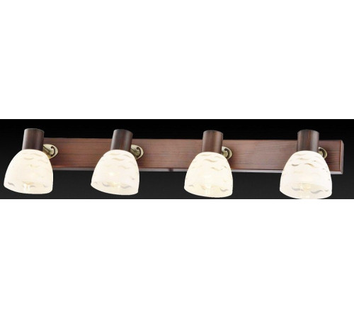 Спот TopLight Shayla TL3730Y-04BB