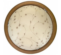 Накладной светильник TopLight Karissa TL9650Y-00OA