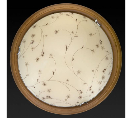 Накладной светильник TopLight Karissa TL9650Y-00OA