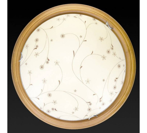 Накладной светильник TopLight Karissa TL9650Y-00OA