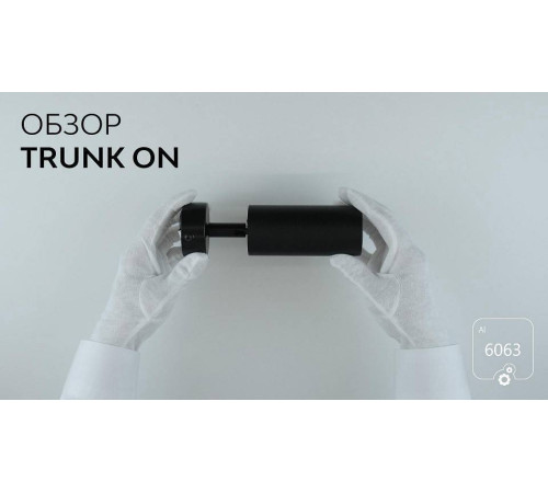 Спот 6063 Trunk On 1030901