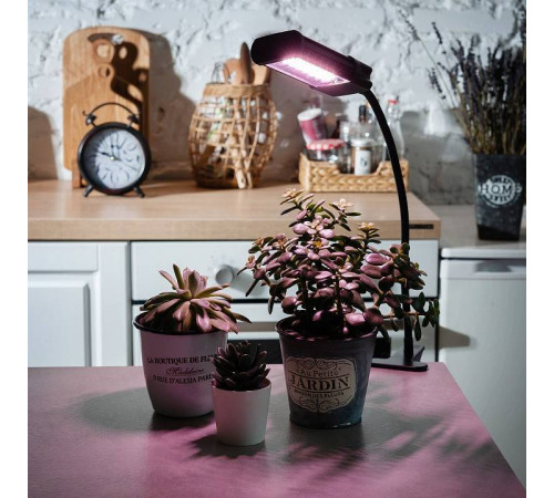 Светильник для растений Uniel ULT-P31 UL-00009250