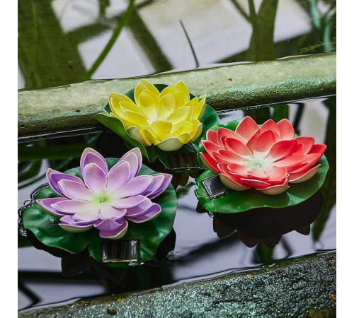 Растение Uniel WATERLILY UL-00011601