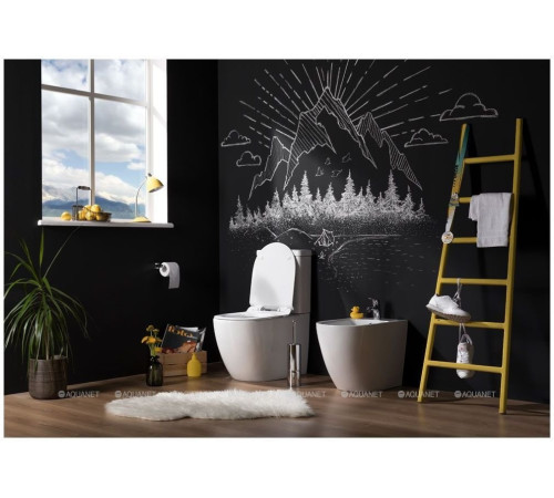 Чаша унитаза напольного Aquanet Cetus Rimless сиденье Slim Soft Close CETUS-C1