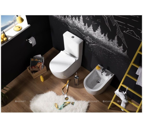Чаша унитаза напольного Aquanet Cetus Rimless сиденье Slim Soft Close CETUS-C1