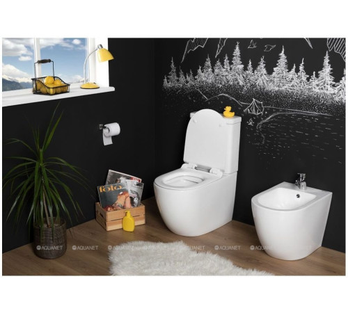 Чаша унитаза напольного Aquanet Cetus Rimless сиденье Slim Soft Close CETUS-C1