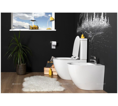 Чаша унитаза напольного Aquanet Cetus Rimless сиденье Slim Soft Close CETUS-C1