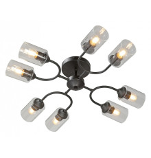 Потолочная люстра Vitaluce V2822 V2822-1/8PL