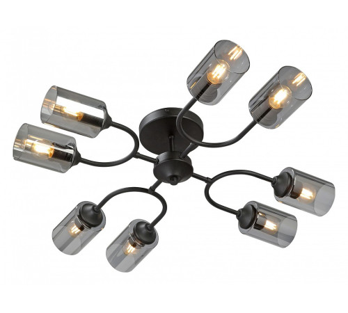 Потолочная люстра Vitaluce V2823 V2823-1/8PL