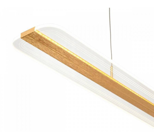 Подвесной светильник Vele Luce Futuro VL7224P01