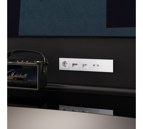 Розетка акустическая без рамки Voltum S70 VLS060301