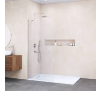 Душевая перегородка RGW WA-102 1000x1950 мм хром 351010210-11
