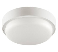 Накладной светильник Wolta  LCL04-12W-R41-6K-SBA