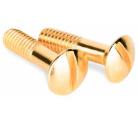Винт Werkel золото Ретро WL18-22-01