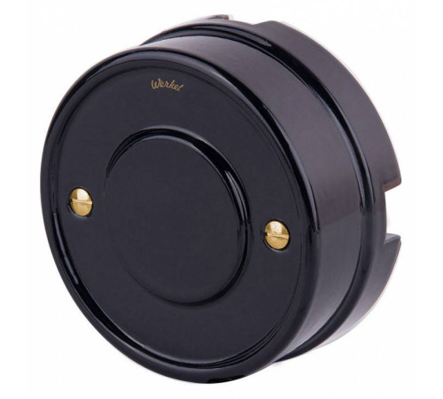 Винт Werkel золото Ретро WL18-22-01