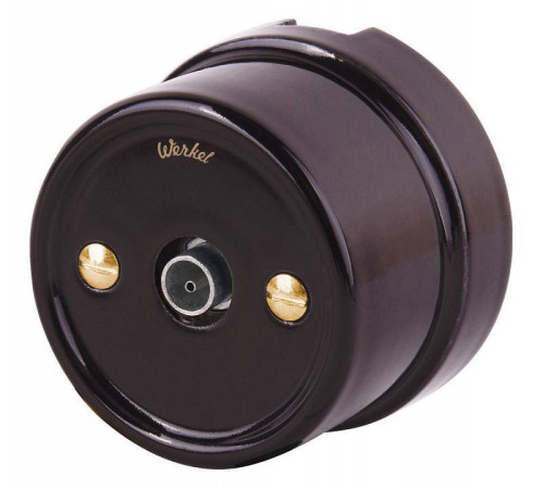 Винт Werkel золото Ретро WL18-22-01