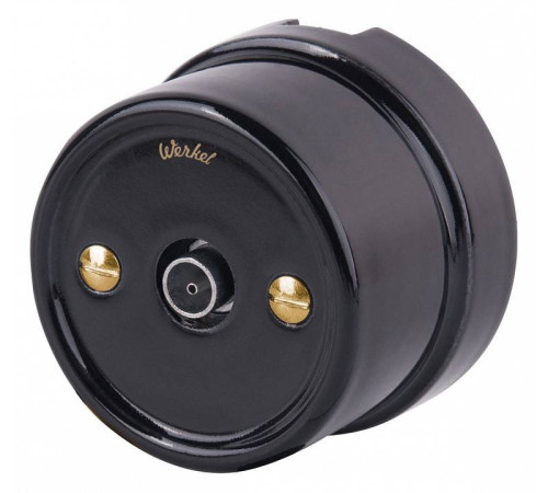 Винт Werkel золото Ретро WL18-22-01