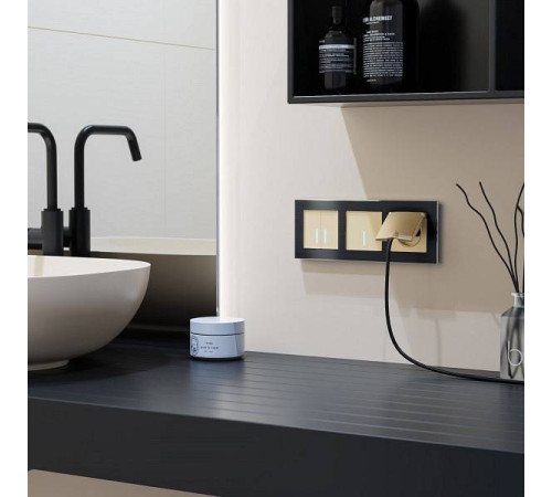 Выключатель сенсорый двухклавишный с подсветкой и функцией Wi-Fi, без рамки Werkel шампань W4520611