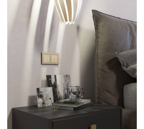 Выключатель сенсорый двухклавишный с подсветкой и функцией Wi-Fi, без рамки Werkel шампань W4520611