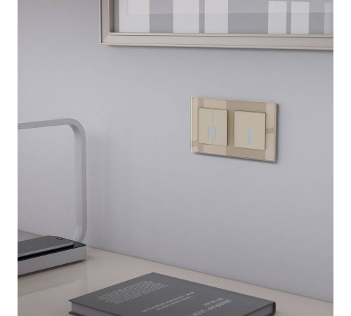 Выключатель сенсорый двухклавишный с подсветкой и функцией Wi-Fi, без рамки Werkel шампань W4520611