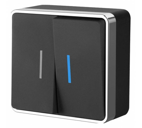 Выключатель двухклавишный с подсветкой без рамки Werkel черный / хром W5020135