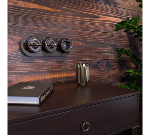 Выключатель одноклавишный Werkel W56 W5612014