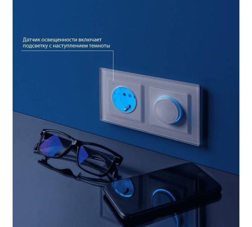 Розетка с заземлением, без рамки Werkel W117 1 W1171401