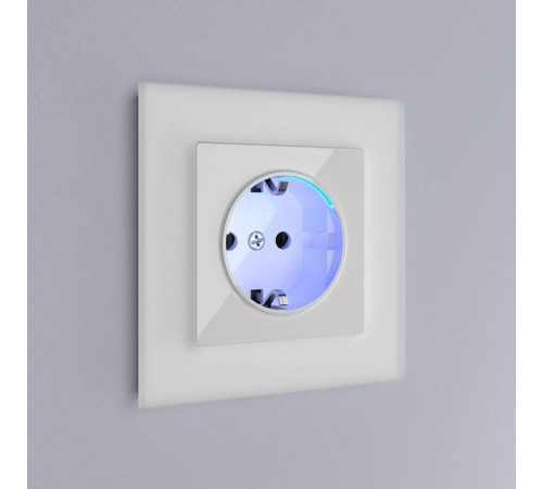 Розетка с заземлением, без рамки Werkel W117 1 W1171401