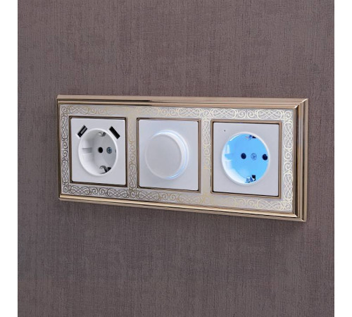 Розетка с заземлением, без рамки Werkel W117 1 W1171401